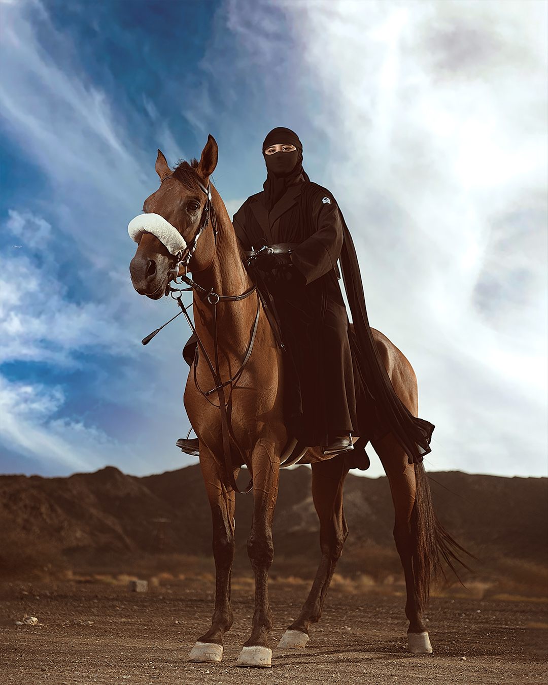 مدرسة البيان لتعليم الفروسية